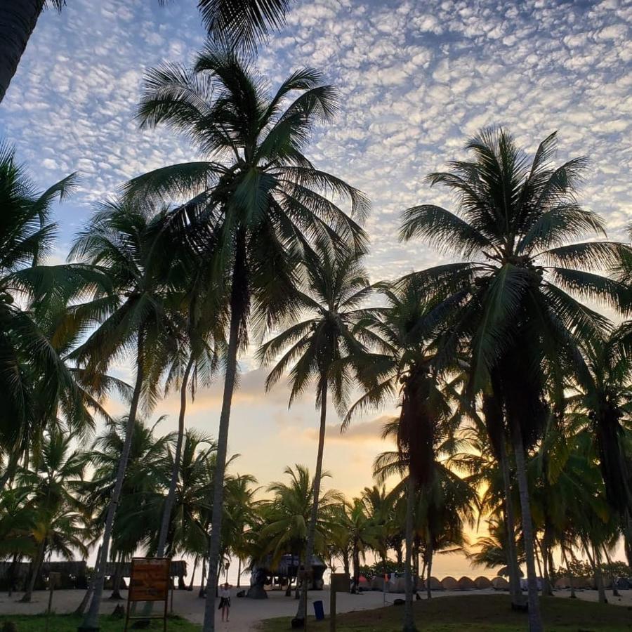 엘 자이노 Camping Castilletes Parque Tayrona B&B 외부 사진
