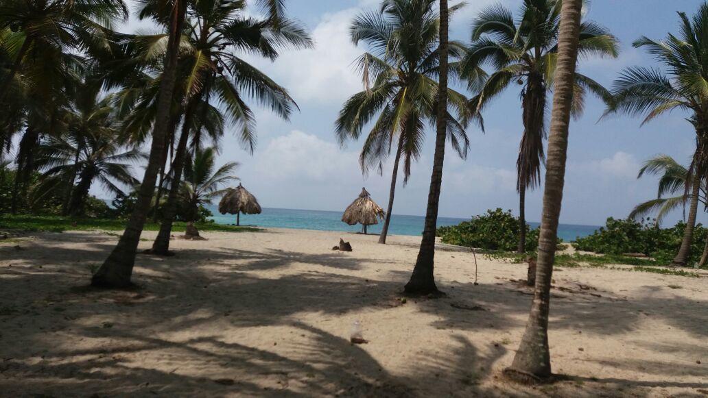 엘 자이노 Camping Castilletes Parque Tayrona B&B 외부 사진