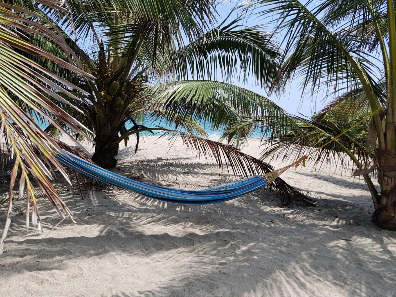 엘 자이노 Camping Castilletes Parque Tayrona B&B 외부 사진